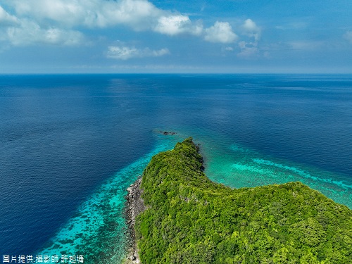 Apo Island 跳島遊